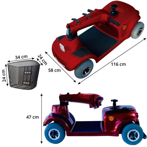 Scooter voor de gehandicapte piscis