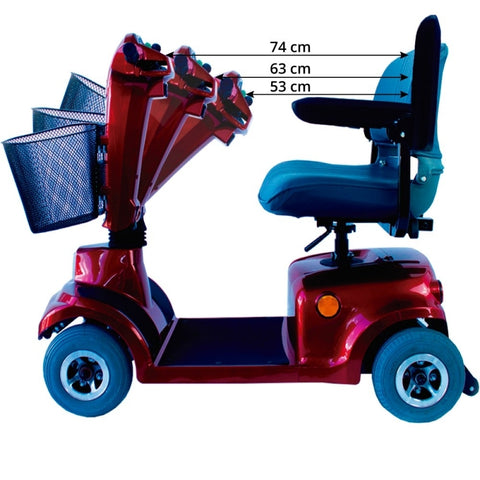 Scooter voor de gehandicapte piscis